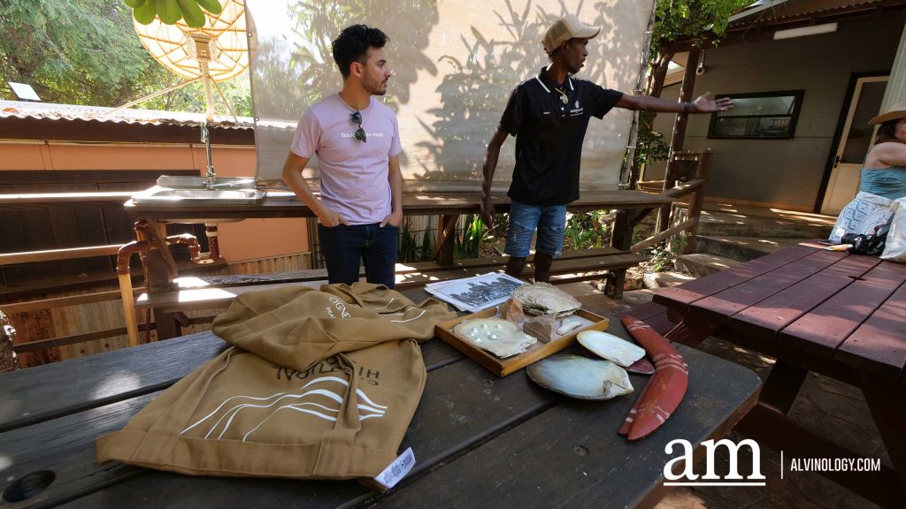 Cygnet Bay Adventure: A First-hand Experience with Air Kimberley - Alvinology