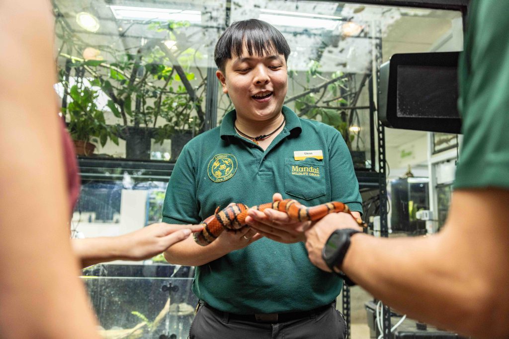 Celebrate the Year of the Snake at Mandai Wildlife Reserve with Scales, Surprises, and Festive Cheer - Alvinology