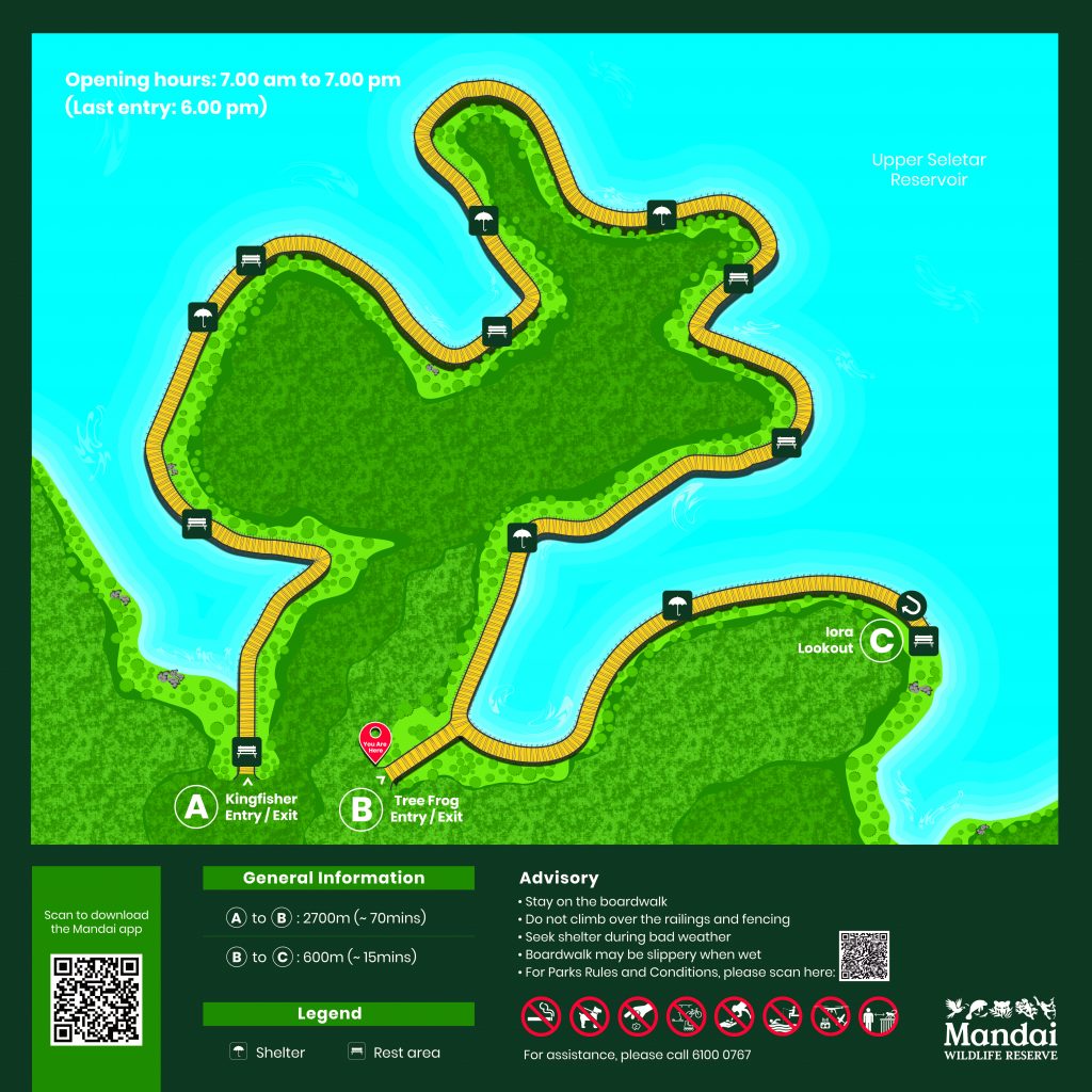 Discover Serenity at the New Mandai Boardwalk in Singapore - Alvinology