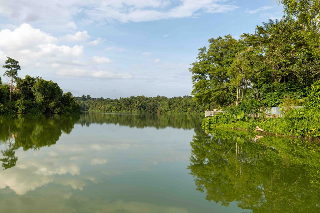 Discover Serenity at the New Mandai Boardwalk in Singapore - Alvinology