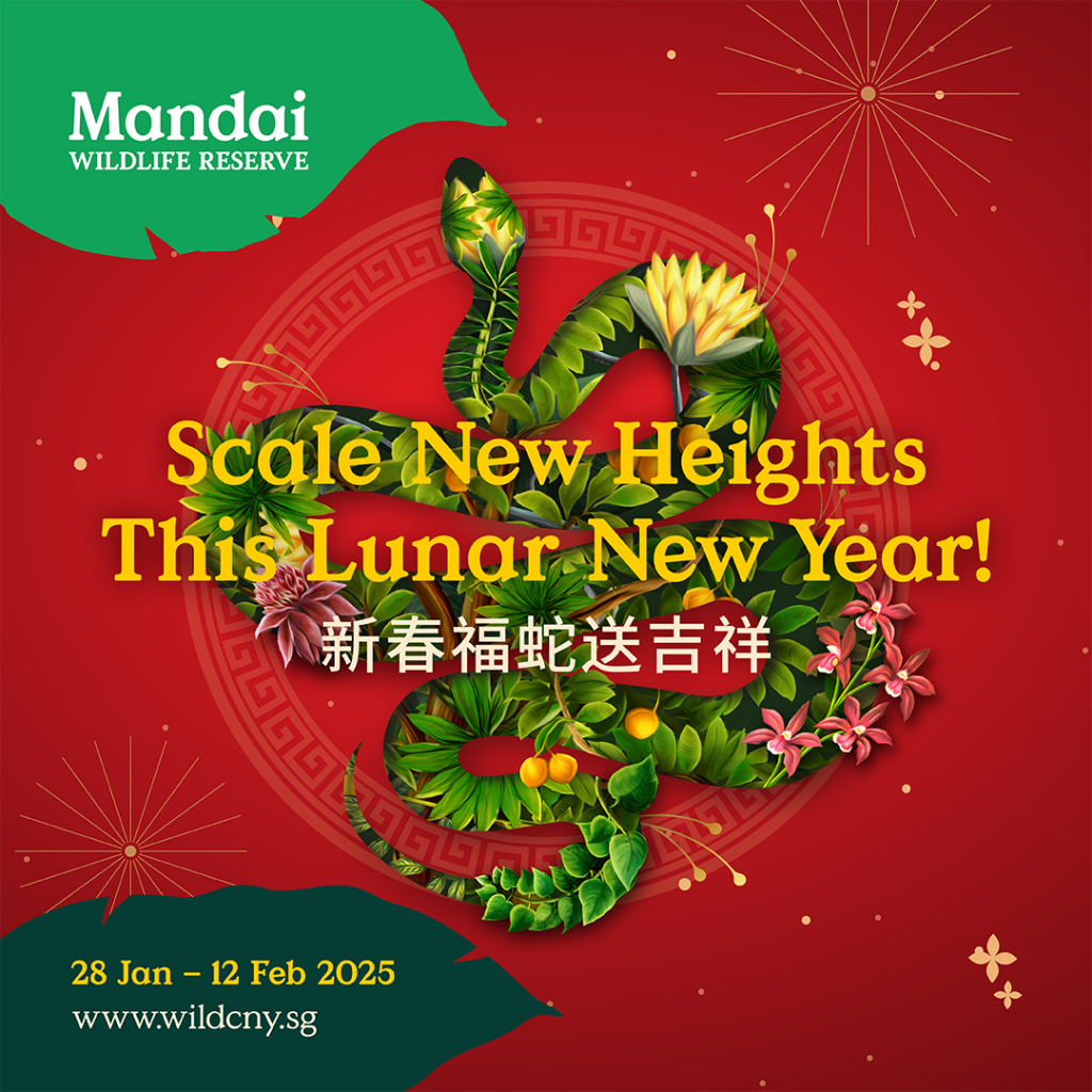 Celebrate the Year of the Snake at Mandai Wildlife Reserve with Scales, Surprises, and Festive Cheer - Alvinology