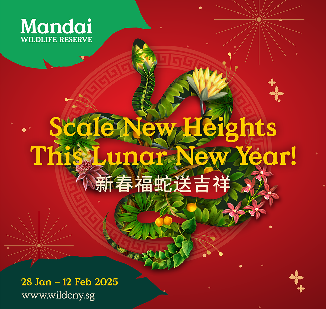 Celebrate the Year of the Snake at Mandai Wildlife Reserve with Scales, Surprises, and Festive Cheer - Alvinology