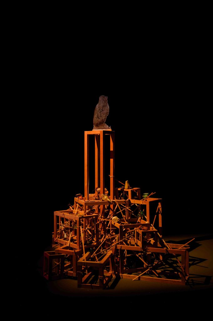 ‘Seeing Forest’ Returns Home: A Spectacular Showcase of Singapore’s Secondary Forests at Singapore Art Museum - Alvinology