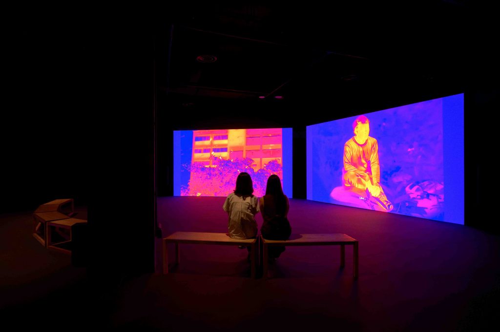 ‘Seeing Forest’ Returns Home: A Spectacular Showcase of Singapore’s Secondary Forests at Singapore Art Museum - Alvinology