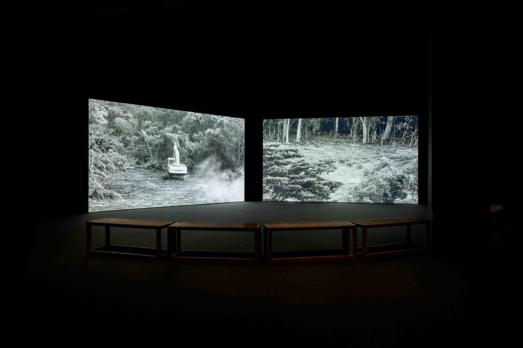 ‘Seeing Forest’ Returns Home: A Spectacular Showcase of Singapore’s Secondary Forests at Singapore Art Museum - Alvinology