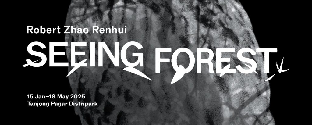 ‘Seeing Forest’ Returns Home: A Spectacular Showcase of Singapore’s Secondary Forests at Singapore Art Museum - Alvinology