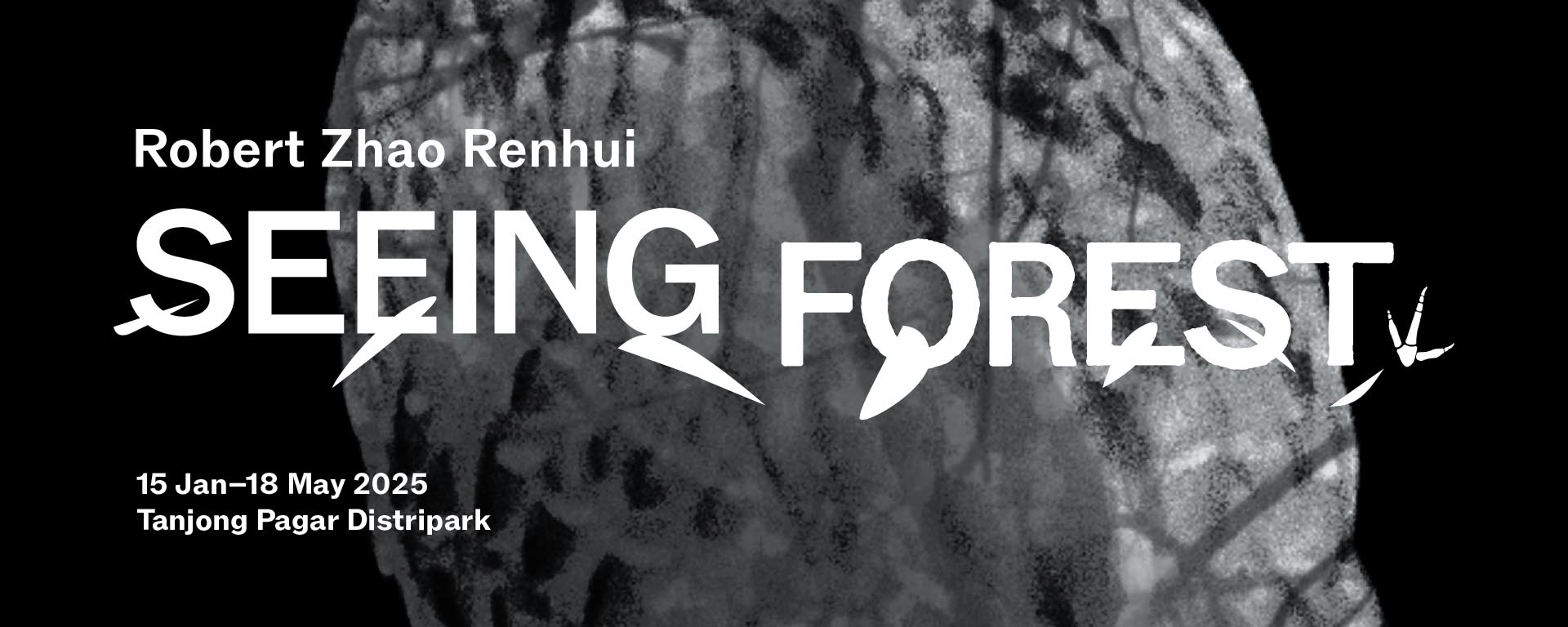 ‘Seeing Forest’ Returns Home: A Spectacular Showcase of Singapore’s Secondary Forests at Singapore Art Museum - Alvinology