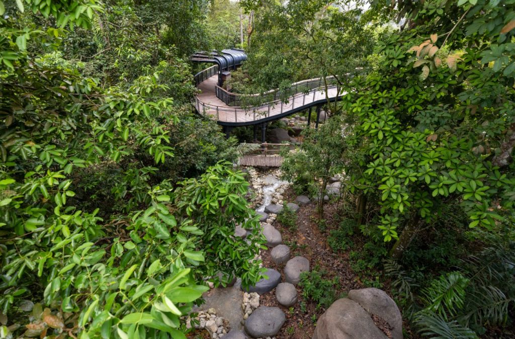 Singapore's Rainforest Wild Asia to Open on 12 March 2025: A New Immersive Wildlife Experience - Alvinology