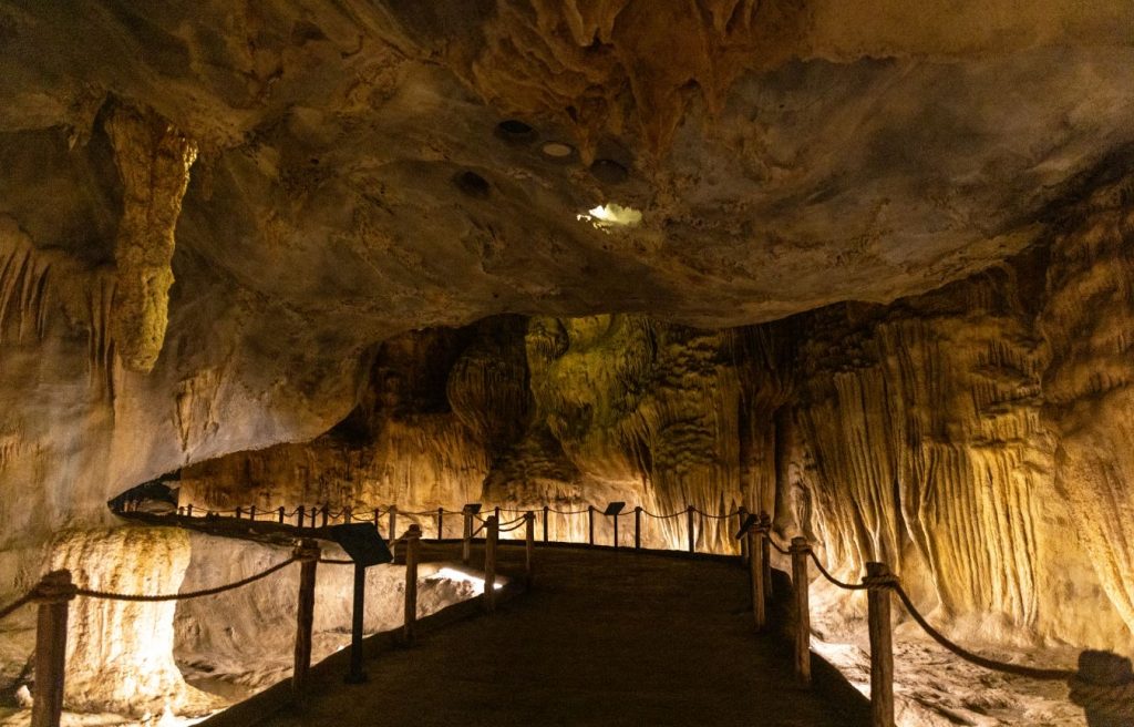 Singapore's Rainforest Wild Asia to Open on 12 March 2025: A New Immersive Wildlife Experience - Alvinology