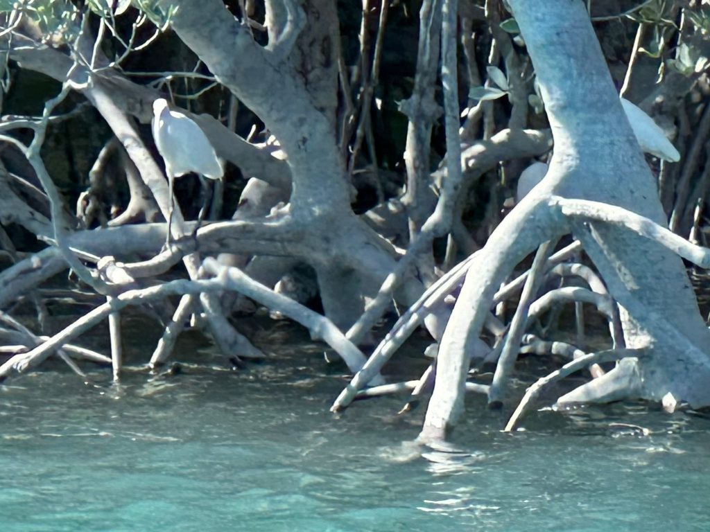 Discover Broome: A Hidden Destination in Western Australia with Deep Singaporean Ties - Alvinology