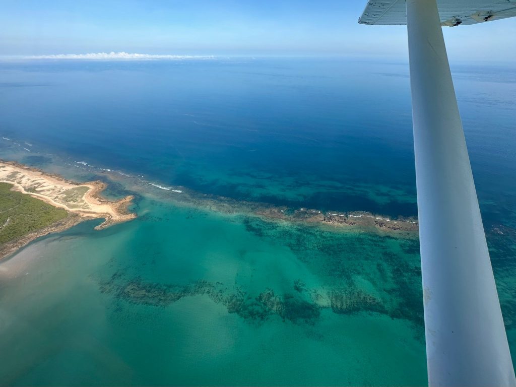 Cygnet Bay Adventure: A First-hand Experience with Air Kimberley - Alvinology