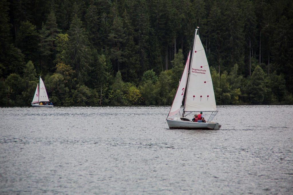 A Complete Guide to Buying a Boat This Summer - Alvinology