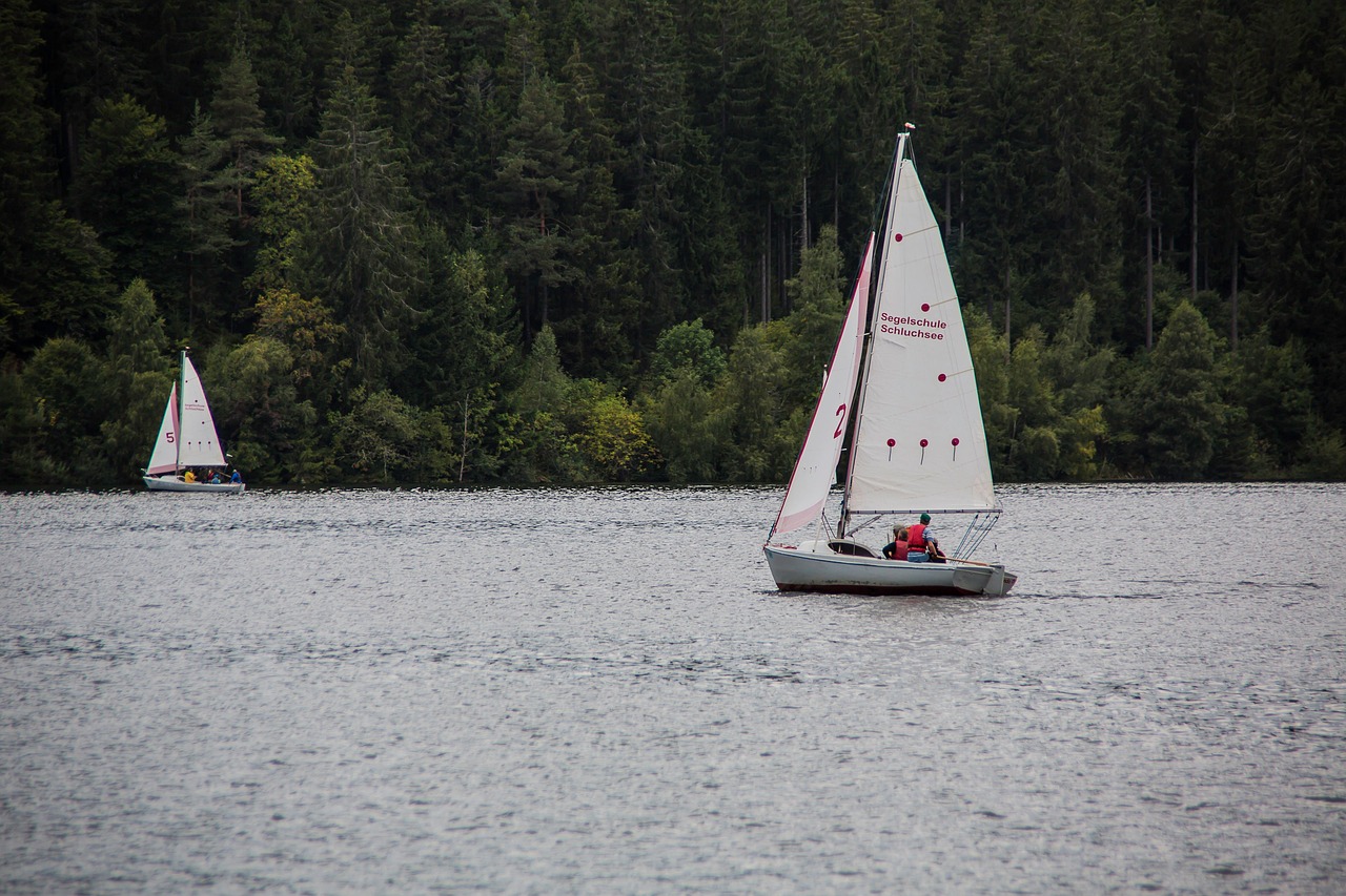 A Complete Guide to Buying a Boat This Summer - Alvinology