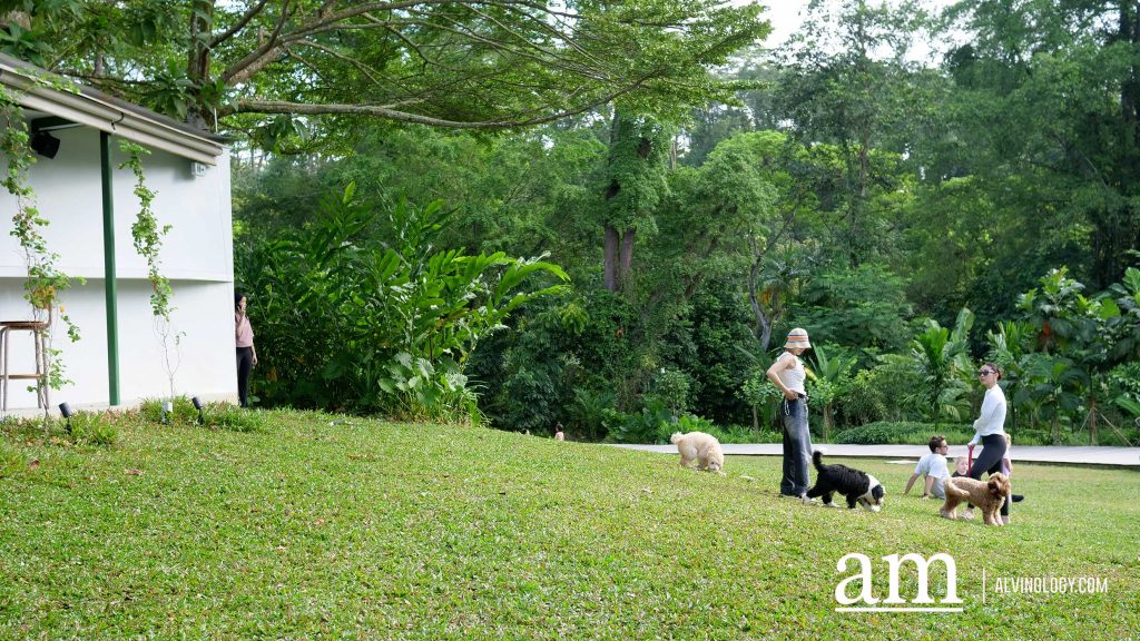 [Review] Wake Up to SUNRISE at AIR CCCC x Le Matin: Pet-friendly, Outdoor Breakfast Experience in Dempsey Hill - Alvinology