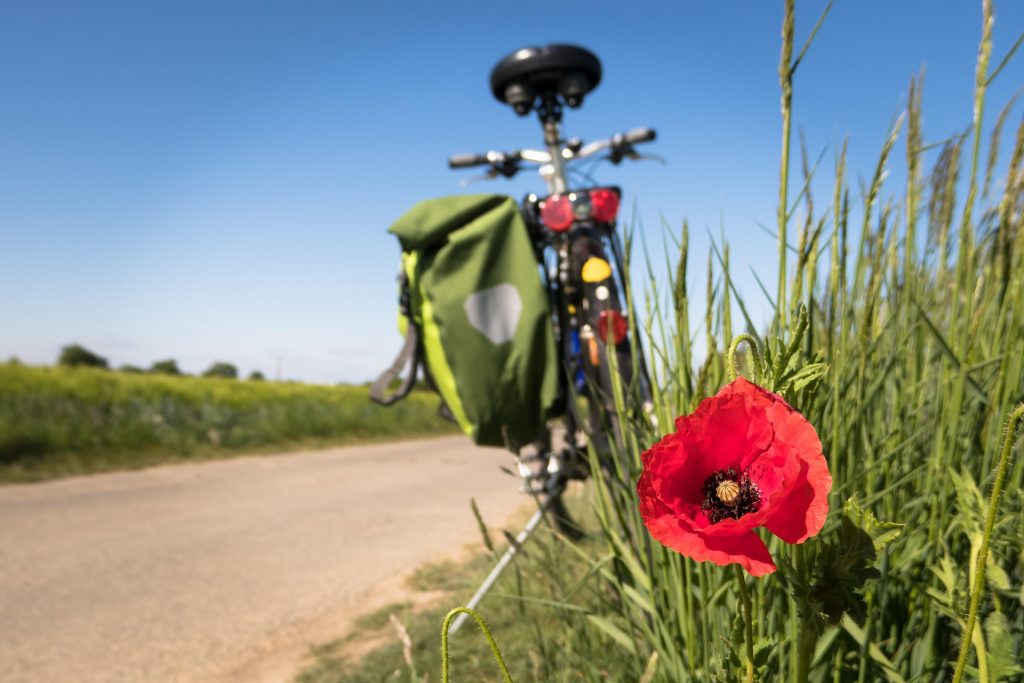 7 Key Steps to Take Before You Head Out on Your Next Bike Trip - Alvinology