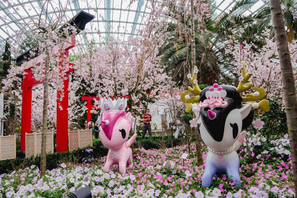 Gardens by the Bay Marks 10 Years of Sakura in Singapore with Its Largest Display Yet - Alvinology