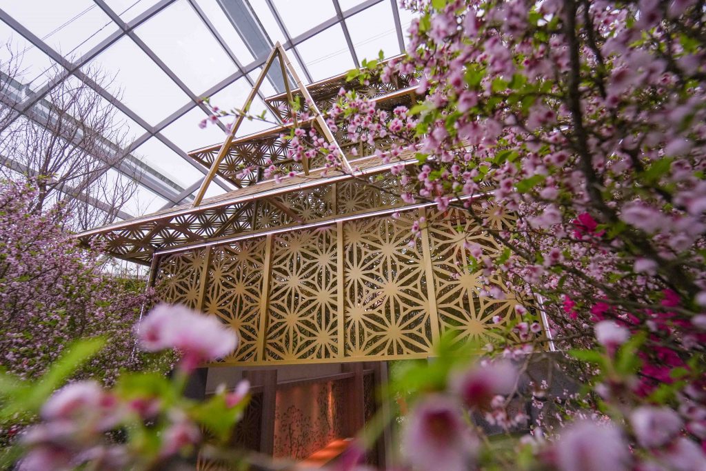 Gardens by the Bay Marks 10 Years of Sakura in Singapore with Its Largest Display Yet - Alvinology