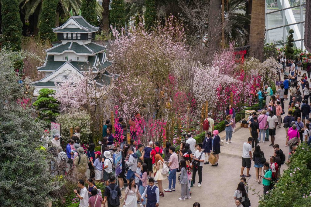 Gardens by the Bay Marks 10 Years of Sakura in Singapore with Its Largest Display Yet - Alvinology