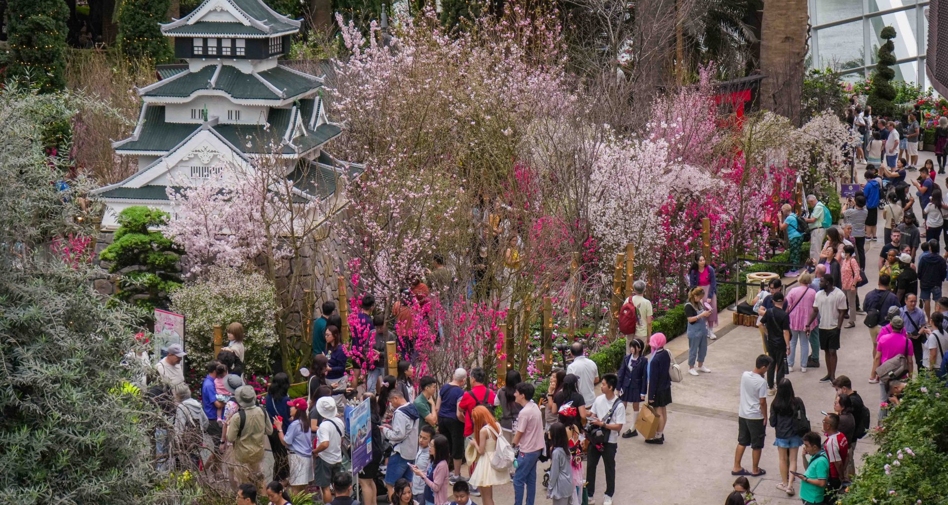 Gardens by the Bay Marks 10 Years of Sakura in Singapore with Its Largest Display Yet - Alvinology