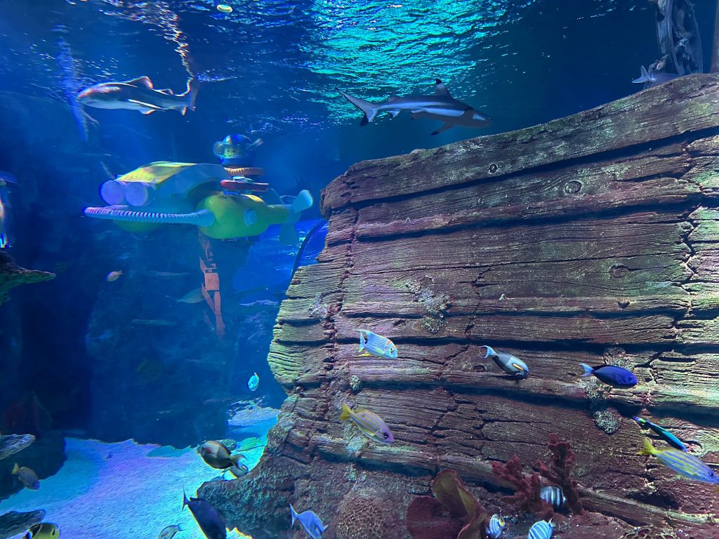 Ramadan-Friendly Fun: Why Visit Legoland Malaysia During This Festive Period - Alvinology