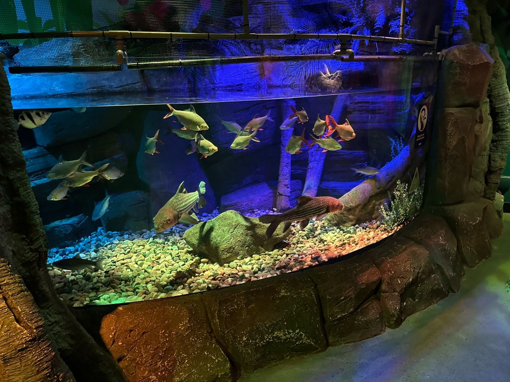 Ramadan-Friendly Fun: Why Visit Legoland Malaysia During This Festive Period - Alvinology