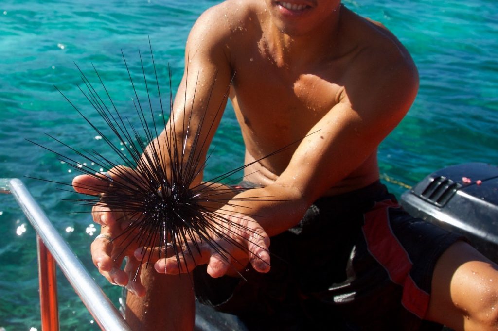 Different Types of Fishing Sports & Top Facts You Need to Know - Alvinology