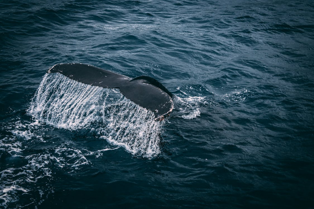 8 Surprising Truths About the Deep Sea’s Largest Inhabitant - Alvinology