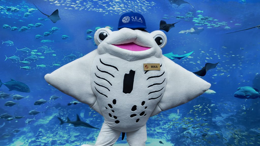 S.E.A. Aquarium Marks 12 Years of Wonder with a Spectacular Anniversary Celebration S.E.A. Aquarium Marks 12 Years of Wonder with a Spectacular Anniversary Celebration - Alvinology