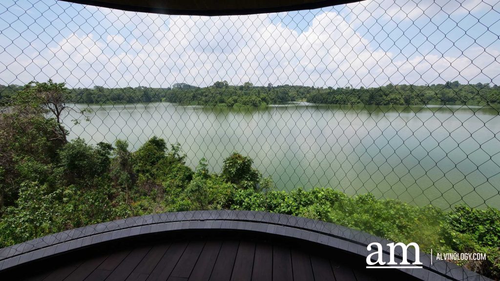 Escape to Tranquility: A First Look at Mandai's Rainforest Resort by Banyan Tree, Singapore’s First Eco-luxury Wildlife Retreat Escape to Tranquility: A First Look at Mandai's Rainforest Resort by Banyan Tree, Singapore’s First Eco-luxury Wildlife Retreat - Alvinology