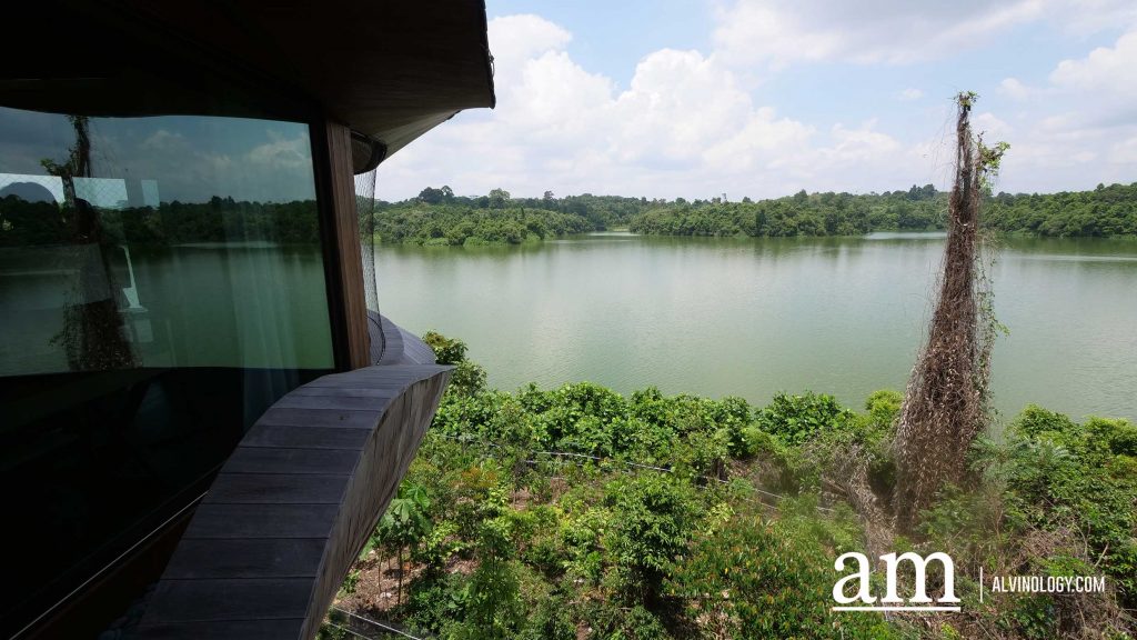 Escape to Tranquility: A First Look at Mandai's Rainforest Resort by Banyan Tree, Singapore’s First Eco-luxury Wildlife Retreat Escape to Tranquility: A First Look at Mandai's Rainforest Resort by Banyan Tree, Singapore’s First Eco-luxury Wildlife Retreat - Alvinology