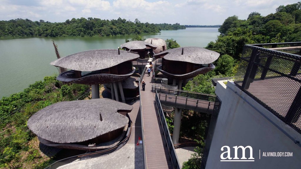 Escape to Tranquility: A First Look at Mandai's Rainforest Resort by Banyan Tree, Singapore’s First Eco-luxury Wildlife Retreat Escape to Tranquility: A First Look at Mandai's Rainforest Resort by Banyan Tree, Singapore’s First Eco-luxury Wildlife Retreat - Alvinology