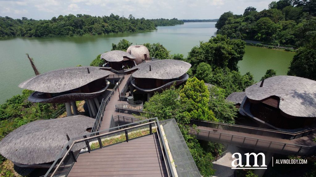 Escape to Tranquility: A First Look at Mandai's Rainforest Resort by Banyan Tree, Singapore’s First Eco-luxury Wildlife Retreat - Alvinology