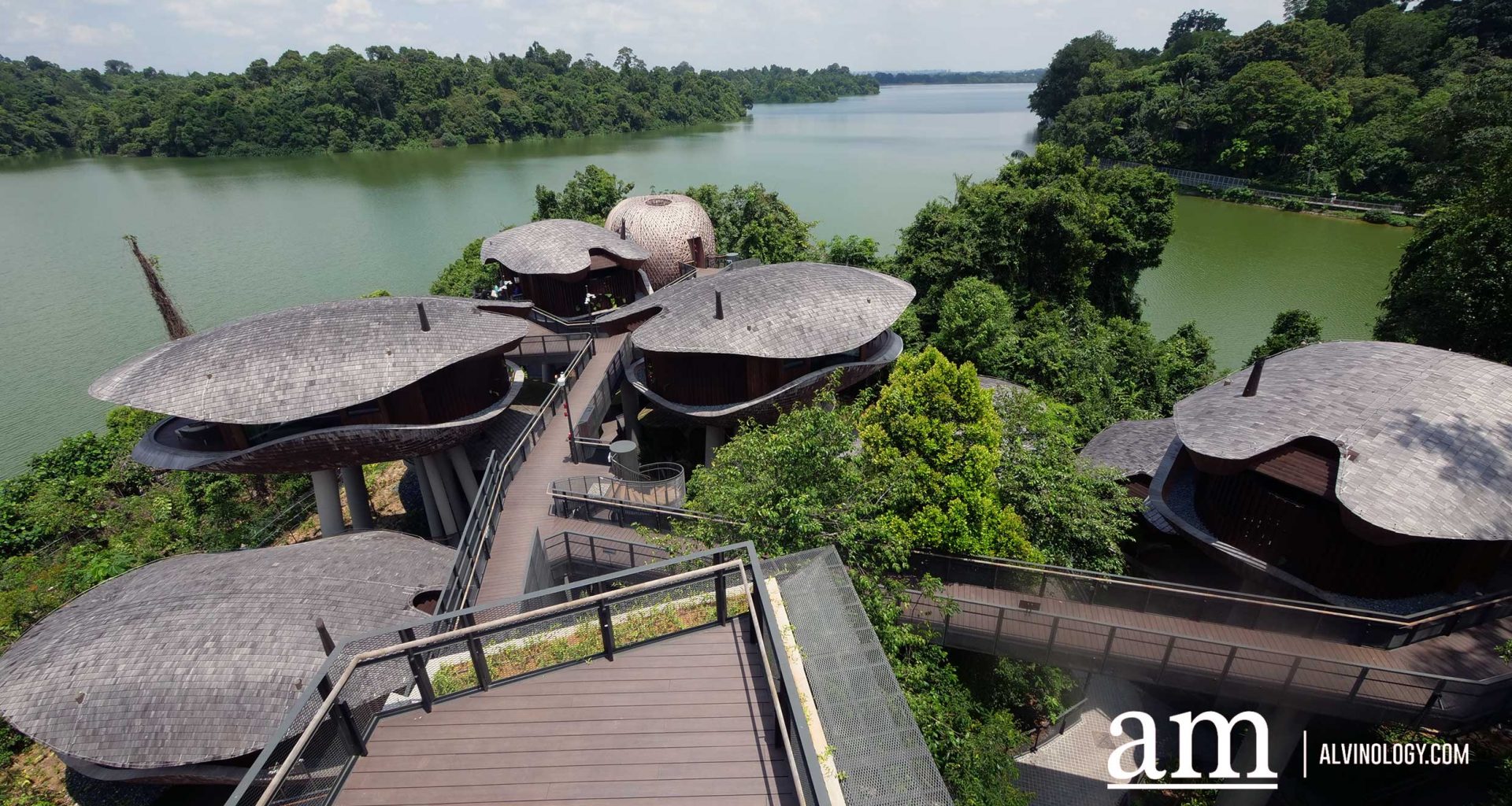 Escape to Tranquility: A First Look at Mandai's Rainforest Resort by Banyan Tree, Singapore’s First Eco-luxury Wildlife Retreat - Alvinology