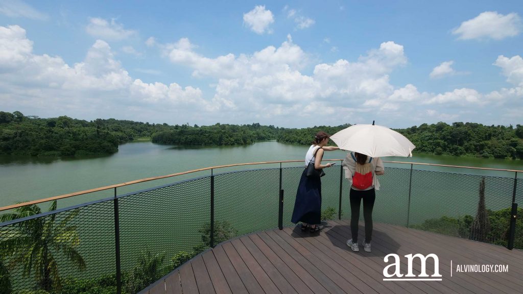 Escape to Tranquility: A First Look at Mandai's Rainforest Resort by Banyan Tree, Singapore’s First Eco-luxury Wildlife Retreat Escape to Tranquility: A First Look at Mandai's Rainforest Resort by Banyan Tree, Singapore’s First Eco-luxury Wildlife Retreat - Alvinology