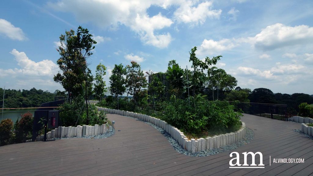 Escape to Tranquility: A First Look at Mandai's Rainforest Resort by Banyan Tree, Singapore’s First Eco-luxury Wildlife Retreat Escape to Tranquility: A First Look at Mandai's Rainforest Resort by Banyan Tree, Singapore’s First Eco-luxury Wildlife Retreat - Alvinology