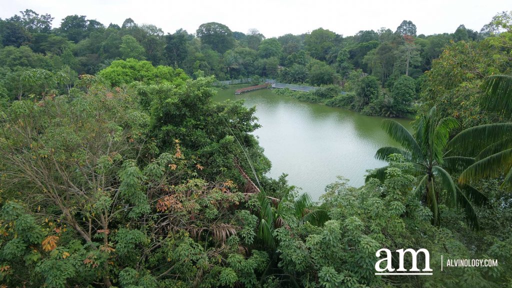 Escape to Tranquility: A First Look at Mandai's Rainforest Resort by Banyan Tree, Singapore’s First Eco-luxury Wildlife Retreat Escape to Tranquility: A First Look at Mandai's Rainforest Resort by Banyan Tree, Singapore’s First Eco-luxury Wildlife Retreat - Alvinology