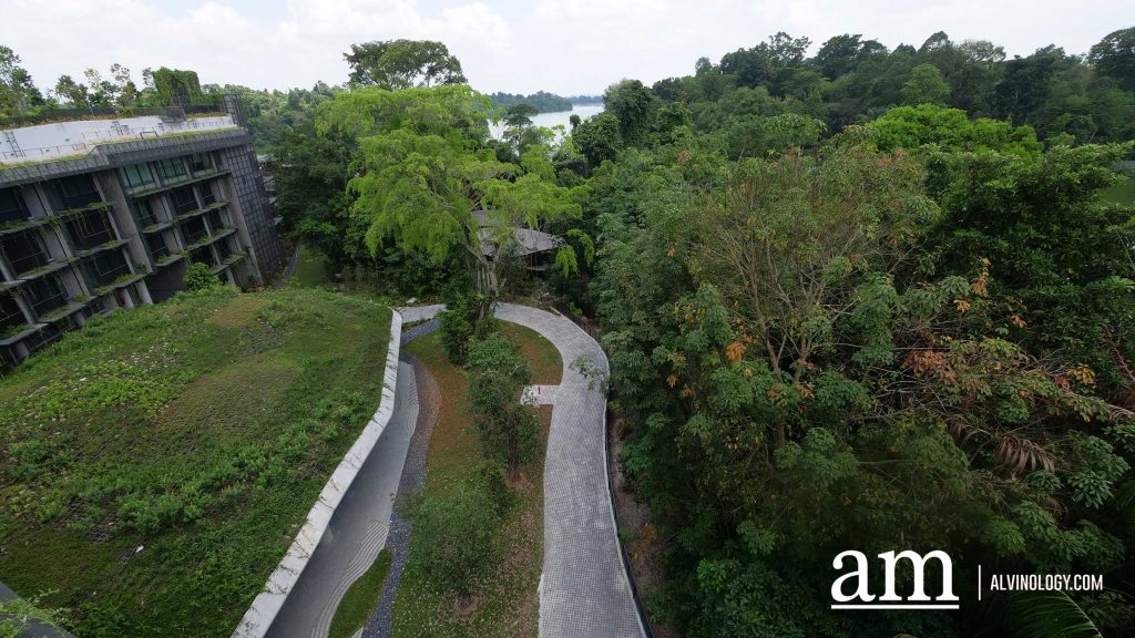Escape to Tranquility: A First Look at Mandai's Rainforest Resort by Banyan Tree, Singapore’s First Eco-luxury Wildlife Retreat Escape to Tranquility: A First Look at Mandai's Rainforest Resort by Banyan Tree, Singapore’s First Eco-luxury Wildlife Retreat - Alvinology