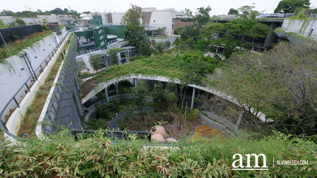 Escape to Tranquility: A First Look at Mandai's Rainforest Resort by Banyan Tree, Singapore’s First Eco-luxury Wildlife Retreat Escape to Tranquility: A First Look at Mandai's Rainforest Resort by Banyan Tree, Singapore’s First Eco-luxury Wildlife Retreat - Alvinology