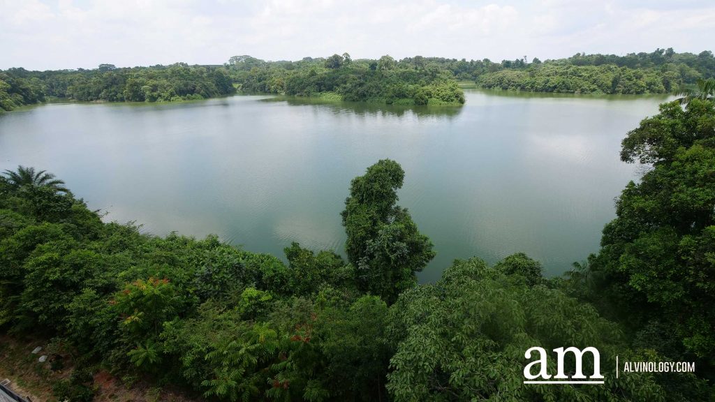 Escape to Tranquility: A First Look at Mandai's Rainforest Resort by Banyan Tree, Singapore’s First Eco-luxury Wildlife Retreat Escape to Tranquility: A First Look at Mandai's Rainforest Resort by Banyan Tree, Singapore’s First Eco-luxury Wildlife Retreat - Alvinology