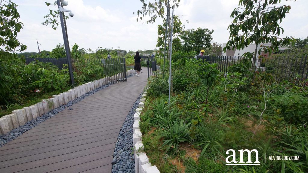 Escape to Tranquility: A First Look at Mandai's Rainforest Resort by Banyan Tree, Singapore’s First Eco-luxury Wildlife Retreat Escape to Tranquility: A First Look at Mandai's Rainforest Resort by Banyan Tree, Singapore’s First Eco-luxury Wildlife Retreat - Alvinology