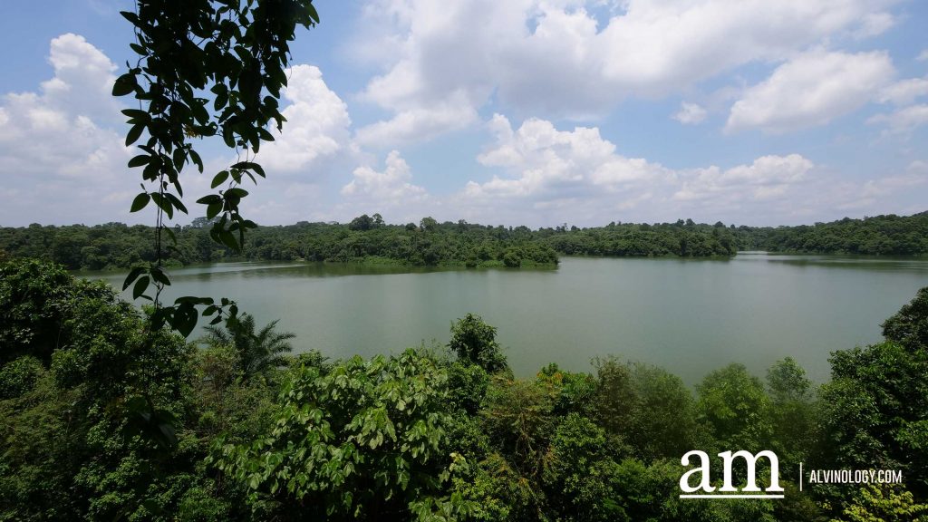 Escape to Tranquility: A First Look at Mandai's Rainforest Resort by Banyan Tree, Singapore’s First Eco-luxury Wildlife Retreat Escape to Tranquility: A First Look at Mandai's Rainforest Resort by Banyan Tree, Singapore’s First Eco-luxury Wildlife Retreat - Alvinology