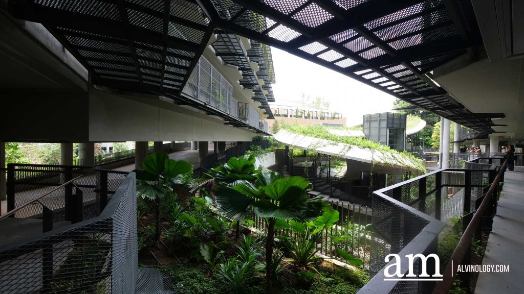 Escape to Tranquility: A First Look at Mandai's Rainforest Resort by Banyan Tree, Singapore’s First Eco-luxury Wildlife Retreat Escape to Tranquility: A First Look at Mandai's Rainforest Resort by Banyan Tree, Singapore’s First Eco-luxury Wildlife Retreat - Alvinology