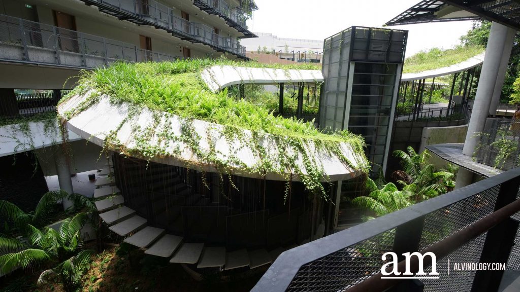 Escape to Tranquility: A First Look at Mandai's Rainforest Resort by Banyan Tree, Singapore’s First Eco-luxury Wildlife Retreat Escape to Tranquility: A First Look at Mandai's Rainforest Resort by Banyan Tree, Singapore’s First Eco-luxury Wildlife Retreat - Alvinology
