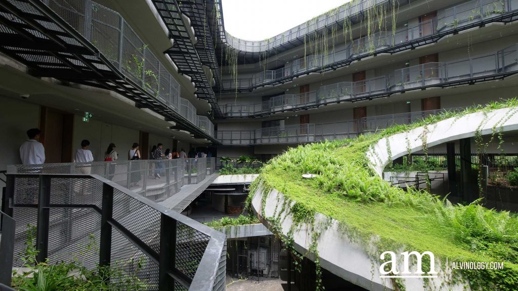 Escape to Tranquility: A First Look at Mandai's Rainforest Resort by Banyan Tree, Singapore’s First Eco-luxury Wildlife Retreat Escape to Tranquility: A First Look at Mandai's Rainforest Resort by Banyan Tree, Singapore’s First Eco-luxury Wildlife Retreat - Alvinology