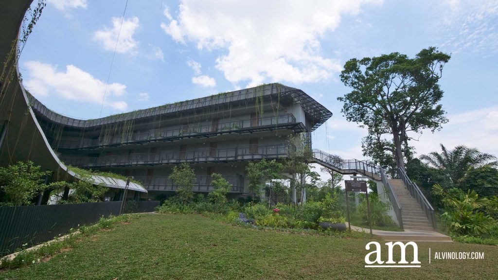 Escape to Tranquility: A First Look at Mandai's Rainforest Resort by Banyan Tree, Singapore’s First Eco-luxury Wildlife Retreat Escape to Tranquility: A First Look at Mandai's Rainforest Resort by Banyan Tree, Singapore’s First Eco-luxury Wildlife Retreat - Alvinology