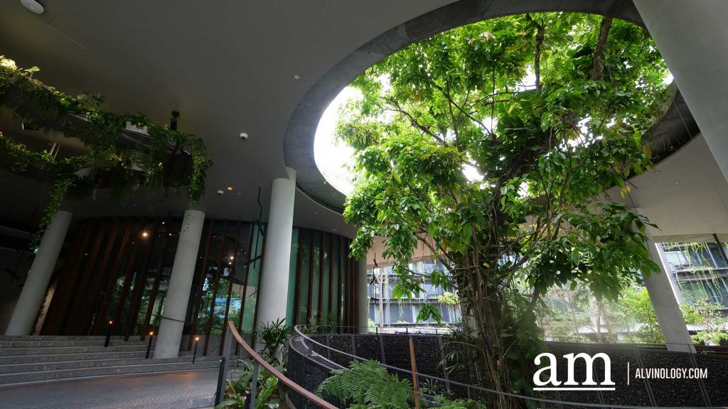 Escape to Tranquility: A First Look at Mandai's Rainforest Resort by Banyan Tree, Singapore’s First Eco-luxury Wildlife Retreat Escape to Tranquility: A First Look at Mandai's Rainforest Resort by Banyan Tree, Singapore’s First Eco-luxury Wildlife Retreat - Alvinology