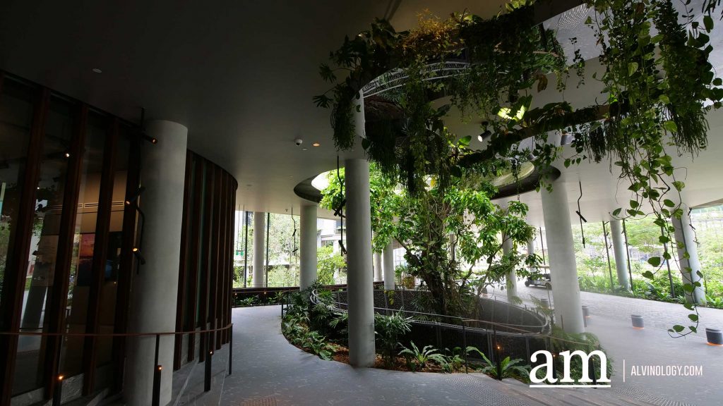 Escape to Tranquility: A First Look at Mandai's Rainforest Resort by Banyan Tree, Singapore’s First Eco-luxury Wildlife Retreat Escape to Tranquility: A First Look at Mandai's Rainforest Resort by Banyan Tree, Singapore’s First Eco-luxury Wildlife Retreat - Alvinology