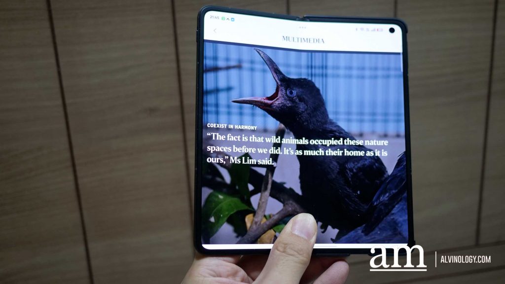 [Review] OPPO Find N5: The Slimmest Foldable Yet, Redefining Smartphone Innovation in 2025 - Alvinology