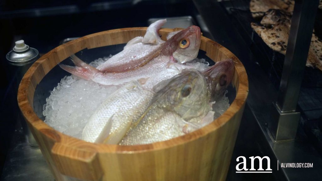 [Review + Promo Alert] Opus Bar and Grill’s Grilled Out Sunday: A Lavish Brunch Experience for Meat Lovers in Singapore - Alvinology