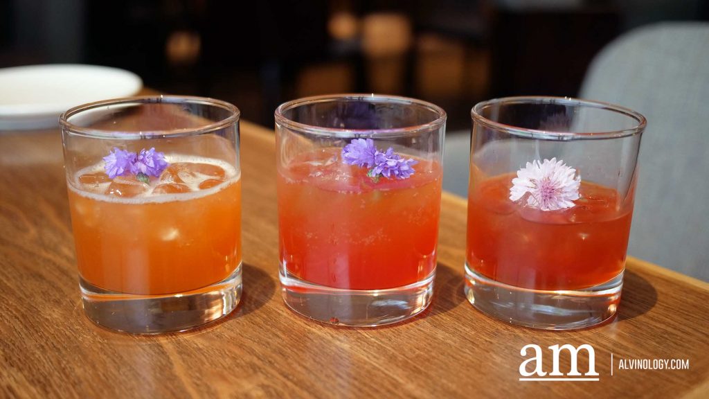 [Review + Promo Alert] Opus Bar and Grill’s Grilled Out Sunday: A Lavish Brunch Experience for Meat Lovers in Singapore - Alvinology